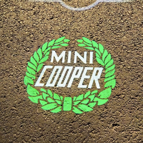 MINI Cooper Laurel logo glowing softly under R53 driver door