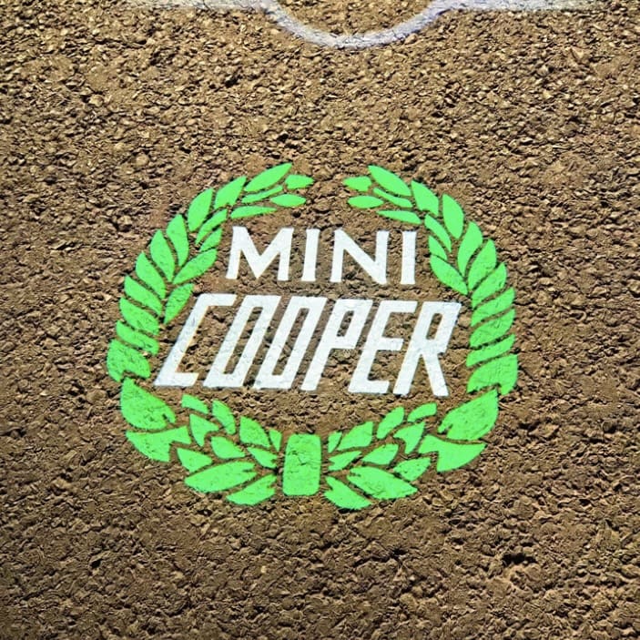 MINI Cooper Laurel logo glowing softly under R53 driver door