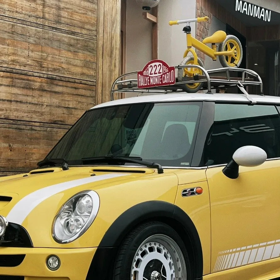 Real Apitong wood and stainless detail on MINI R56 roof rack.